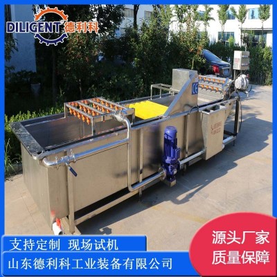 噴淋式瓜果氣泡清洗設(shè)備 辣椒清洗機(jī) 預(yù)制菜加工設(shè)備 果蔬清洗機(jī)