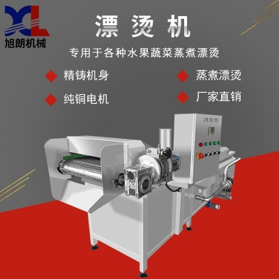 旭朗全自動蒸煮漂燙機豆角紅薯干黃桃水果食品巴氏蔬果漂燙機廠家