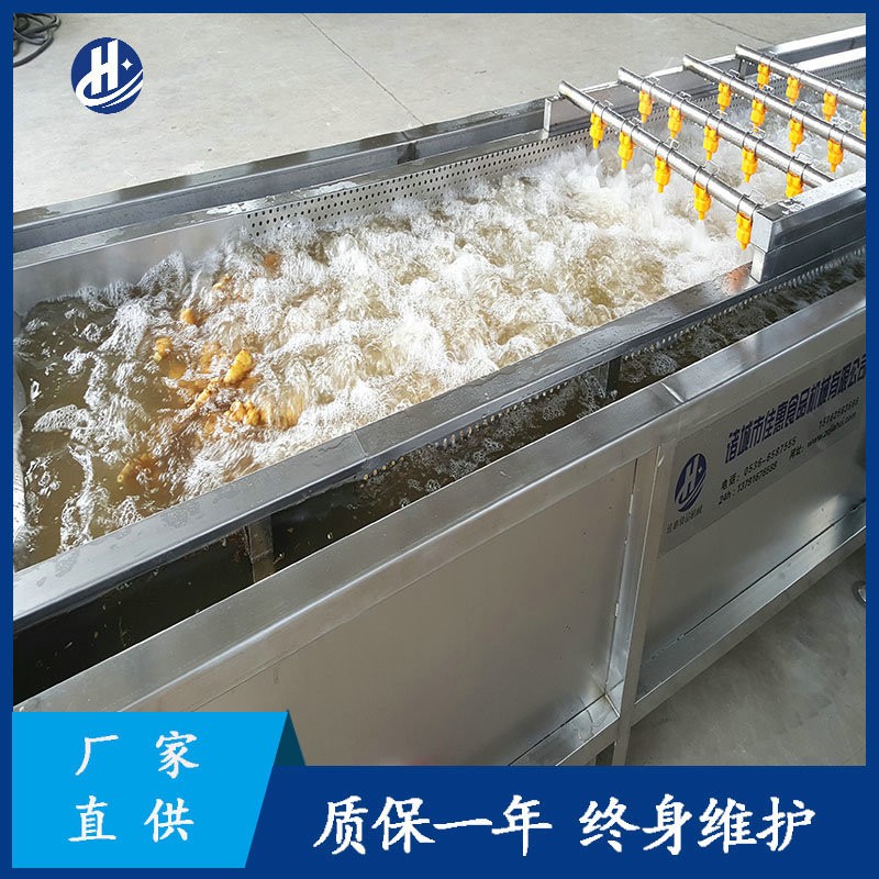 大型自動化洗姜機(jī)器 平行式高壓噴淋清洗機(jī) 鮮姜姜芽生姜清洗設(shè)備