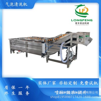 全自動商用洗菜機 玉米氣泡清洗機 不銹鋼辣椒鼓浪式氣泡清洗機
