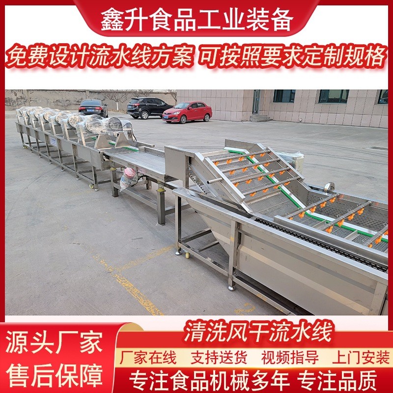 藍(lán)莓清洗機(jī) 全自動(dòng)果蔬清洗風(fēng)干流水線 不銹鋼毛豆清洗風(fēng)干設(shè)備