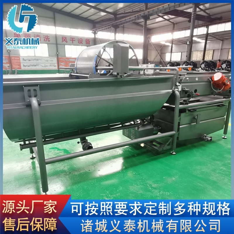 芹菜段渦流清洗機 全自動果蔬清洗機設備 供應薄荷葉渦流清洗機