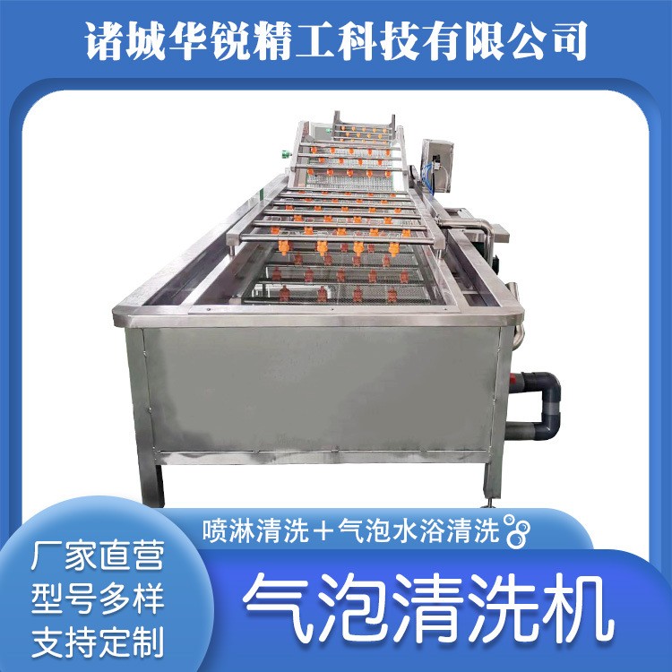 小型氣泡清洗機 果蔬氣泡清洗機 果蔬高壓噴淋清洗設備油菜清洗機