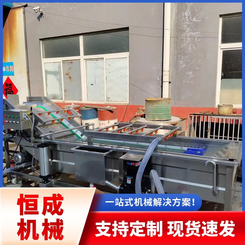 全自動藥材把白菜蘿卜清洗機蔬菜高壓沖洗清洗流水線廠家直銷優惠