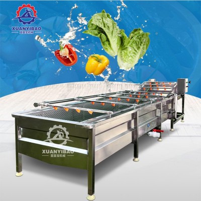 廠家供應(yīng)全自動果蔬清洗機 胡桃青皮清洗機 氣泡沖浪式榛子清洗機