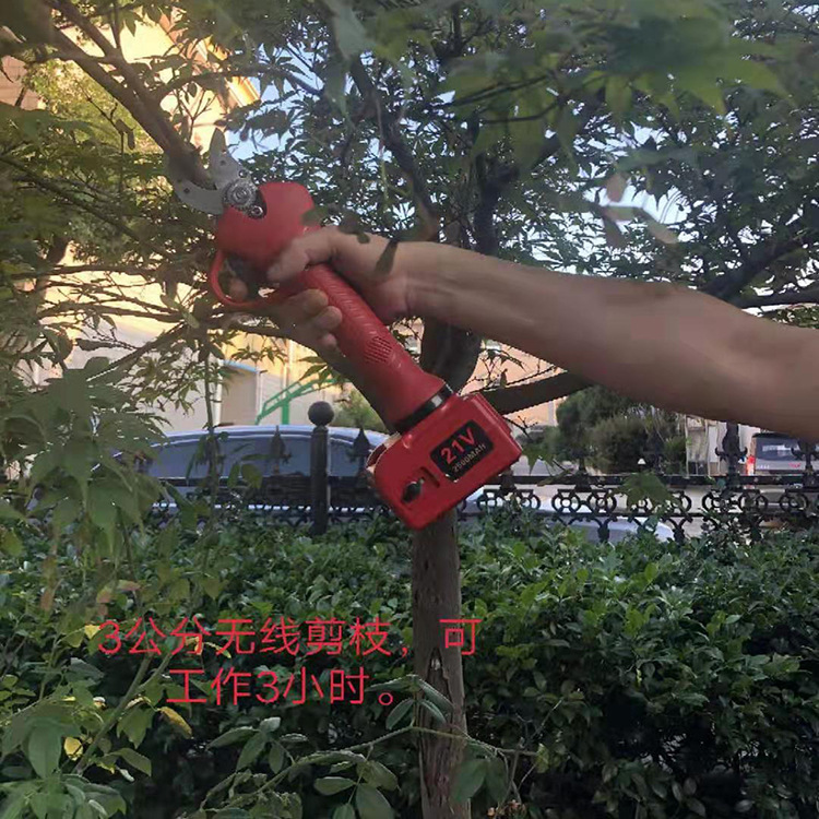 55075646939851602_副本