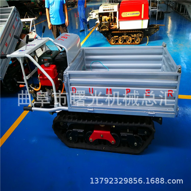 小型履帶果園運(yùn)輸車 肥料土壤履帶式遙控運(yùn)輸車生產(chǎn)廠家