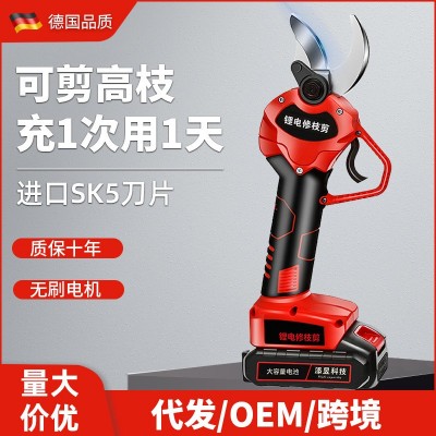 電動剪刀果樹式園林粗枝鋰電修枝剪高枝樹枝神器加長剪子充電手持