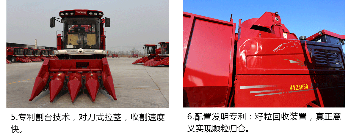 4YZ-4ABC(國二)-4細節展示最終_02