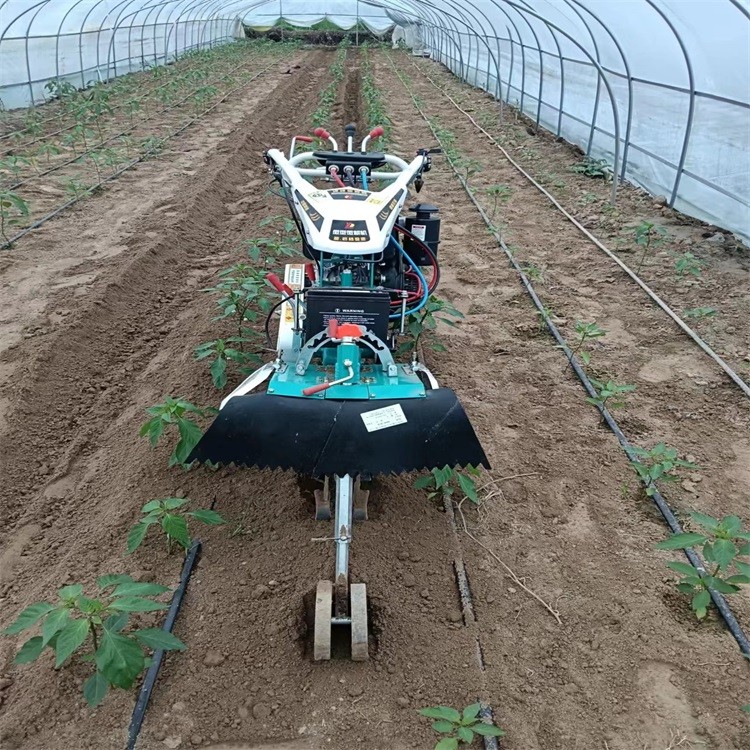 開溝機小型 農用視頻 新型皮帶大馬力開溝培土一體機