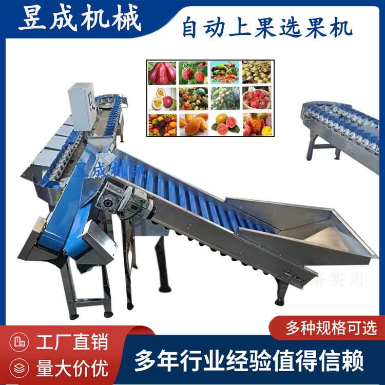 鮮食玉米重量分級輸送包裝 鮮食玉米加工生產線 自動選果機