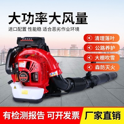 背負(fù)式風(fēng)力滅火機(jī)大功率汽油吹風(fēng)機(jī)鼓風(fēng)機(jī)工地除塵森防大棚吹雪機(jī)