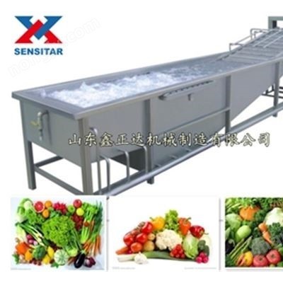 蔬菜清洗機(jī)