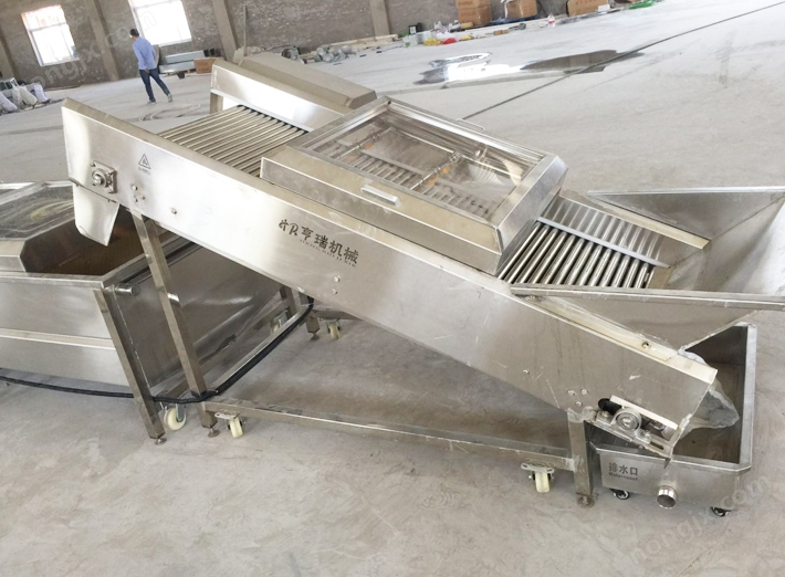 干果清洗提升噴淋機(圖1)