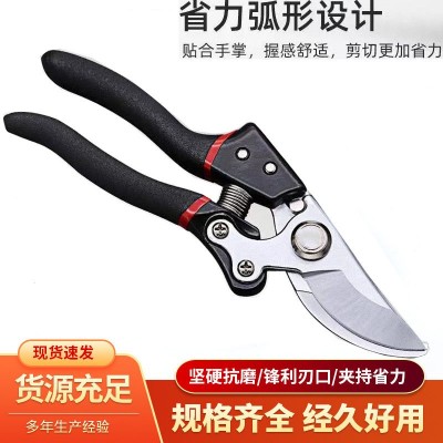 sk5超強(qiáng)省力修枝樹枝大號(hào)果樹粗枝剪家用園林剪強(qiáng)力花木不銹鋼剪