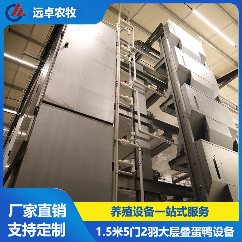 大層疊五列八層籠養鴨設備 江蘇泰州四層H型框架式自動化蛋鴨籠養