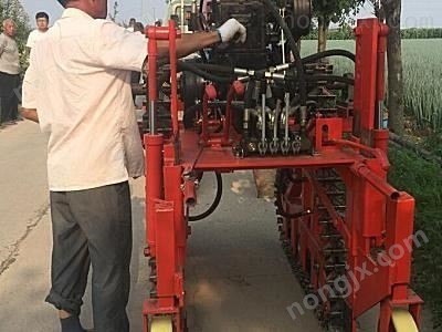 成帆DX-22型大蔥收獲機