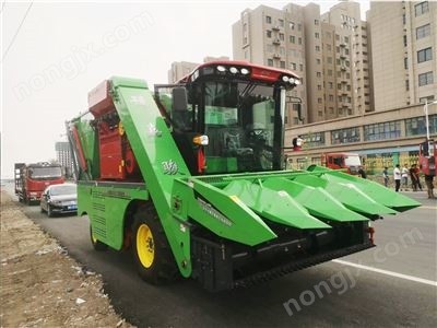 嘉駿4QZ-10型自走式青飼料收獲機