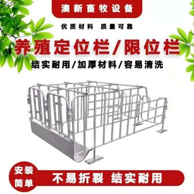 供應(yīng)豬用定位欄限位欄 豬場養(yǎng)豬帶食槽養(yǎng)豬設(shè)備豬定位欄廠家批發(fā)