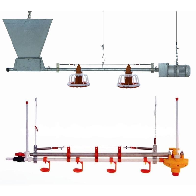 自動料線 雞舍養(yǎng)雞料線 養(yǎng)雞自動料線 肉雞養(yǎng)殖設(shè)備 平養(yǎng)雞料線