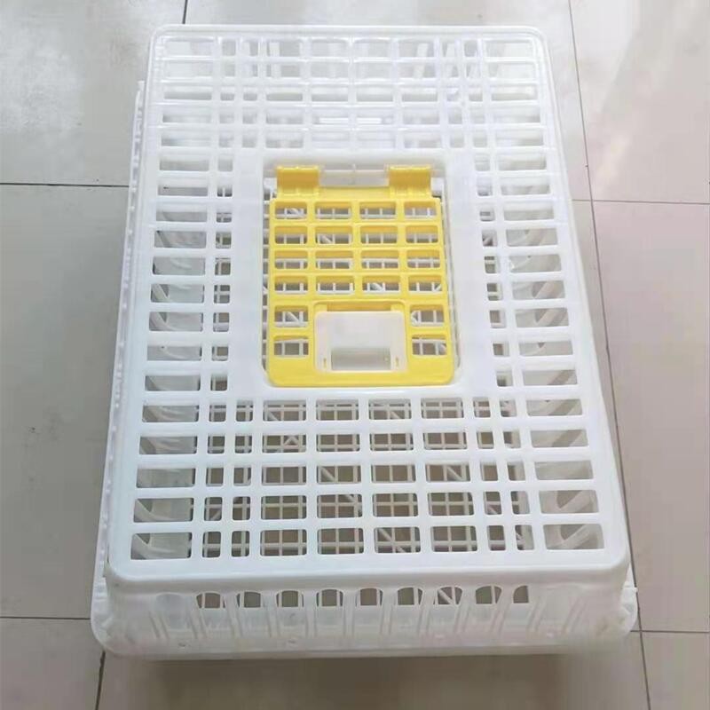 定制雞籠周轉箱塑料雞箱運輸籠周轉籠 鴿兔家禽運輸籠周轉筐 雞筐