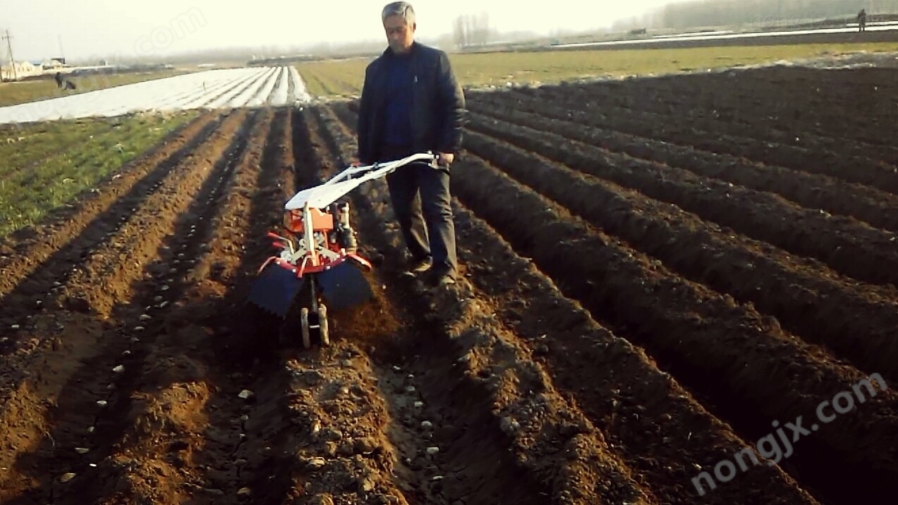 土豆開溝起壟機(jī)