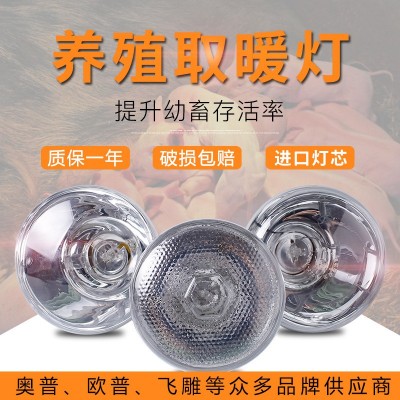 藍鳥養殖專用取暖燈小雞仔豬仔育雛獸用加熱烤燈設備加厚保溫燈泡