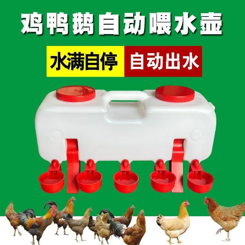 亞馬遜雞自動飲水槽雞鴨鵝用飲水器散養(yǎng)雞用自動喂水壺雞水桶水碗