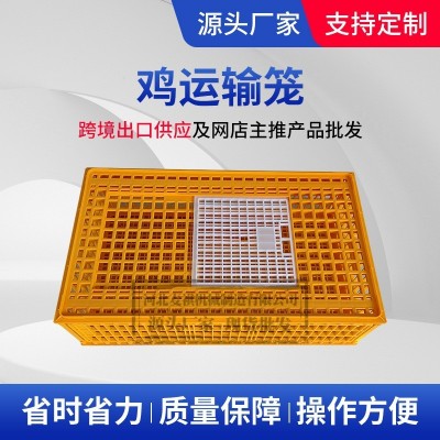 中空透氣塑料家禽雞籠 鴨鵝養(yǎng)殖場運(yùn)輸周裝框 成雞中轉(zhuǎn)用螺絲組裝