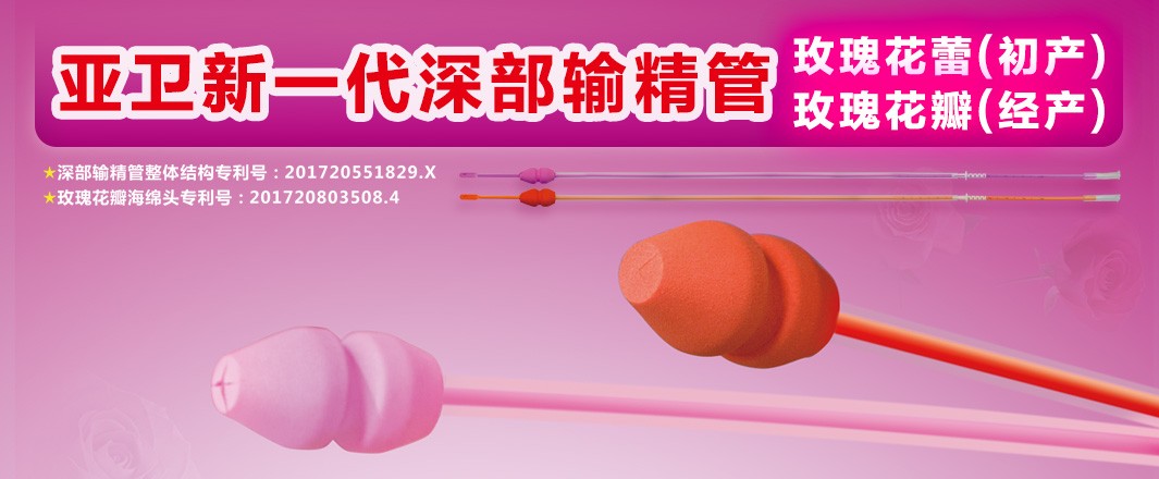 新一代玫瑰花瓣（經(jīng)產(chǎn)） 玫瑰花蕾（初產(chǎn)）深部輸精管