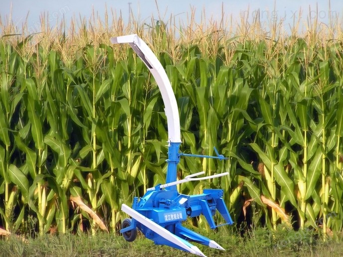 4QS-10型 單行青貯收獲機