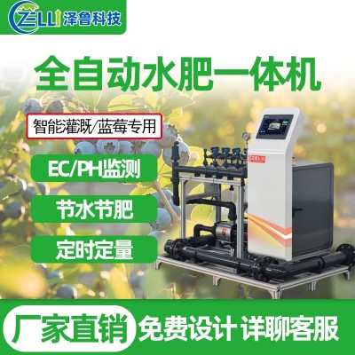 水肥一體機藍莓精量農業(yè)全智能果園農田大棚過濾滴噴灌溉 施肥設備