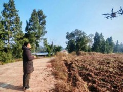 機械化賦能 為糧油產業發展注入強勁動力