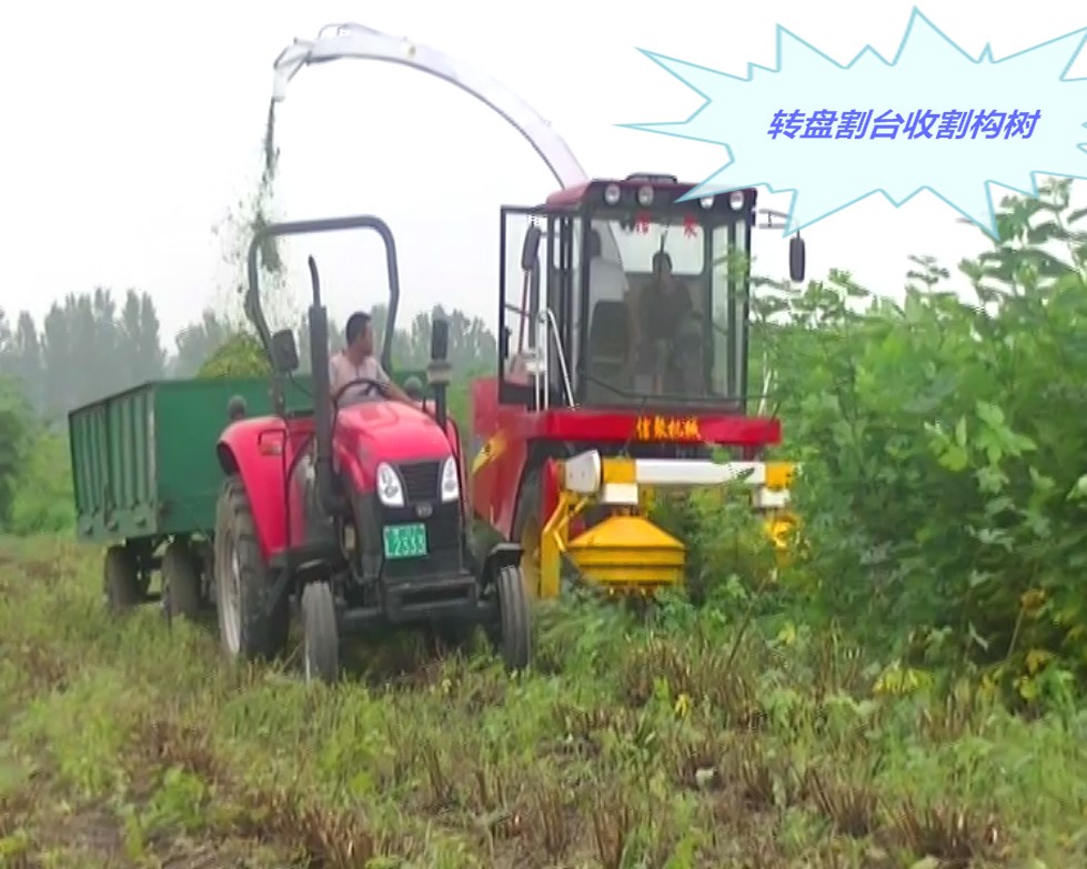 轉盤收割構樹