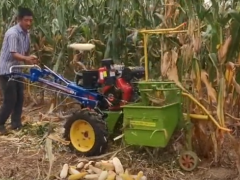 農(nóng)民大叔發(fā)明的玉米收獲機，1天可耕地50畝，300塊錢直接造一臺！