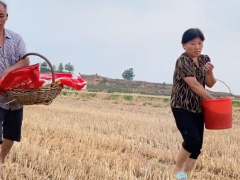 天氣預(yù)報(bào)有雨，公公提前播種花生，婆婆當(dāng)配重，地里實(shí)在太干了