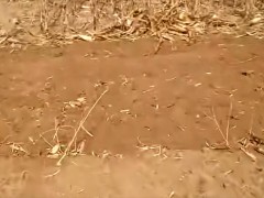 農(nóng)業(yè)機(jī)械—旋耕機(jī)“切刀式”