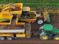 機械化收獲土豆，這種農機真是厲害，長見識了