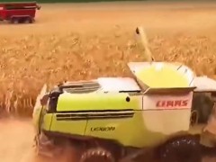 讓農(nóng)機(jī)專家點(diǎn)贊的玉米脫粒機(jī)，究竟有多厲害？它的效率有多高？